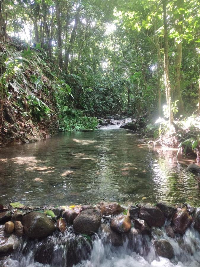 La Fortuna Natural Green Экстерьер фото