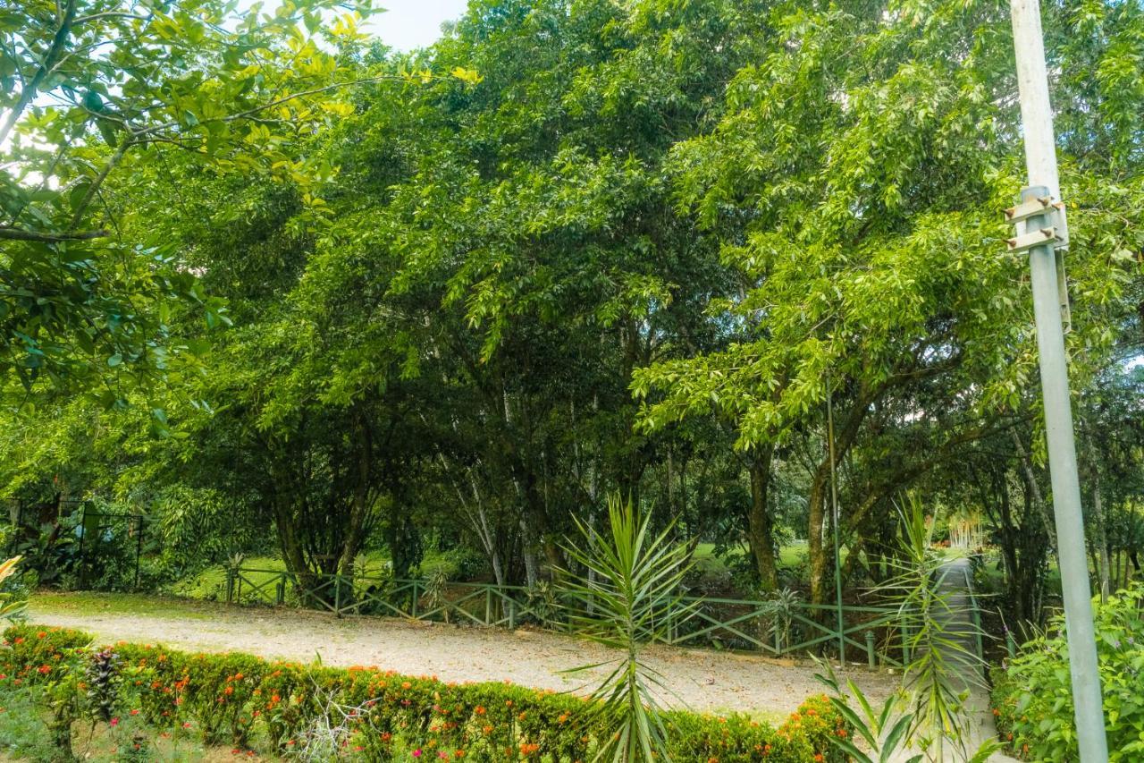 La Fortuna Natural Green Экстерьер фото